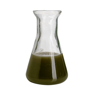 En-Green Pure Kelp Protoplesm Organic Seaweed Fertilizer