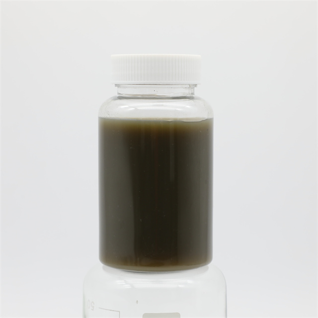 Organic Enzymatic Liquid Kelp Fertilizer for Garden And Vegetables And Indoor Plants
